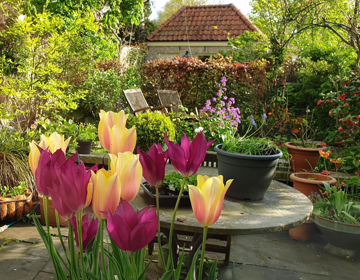 Bed & Breakfast Monumentaal Logeren *