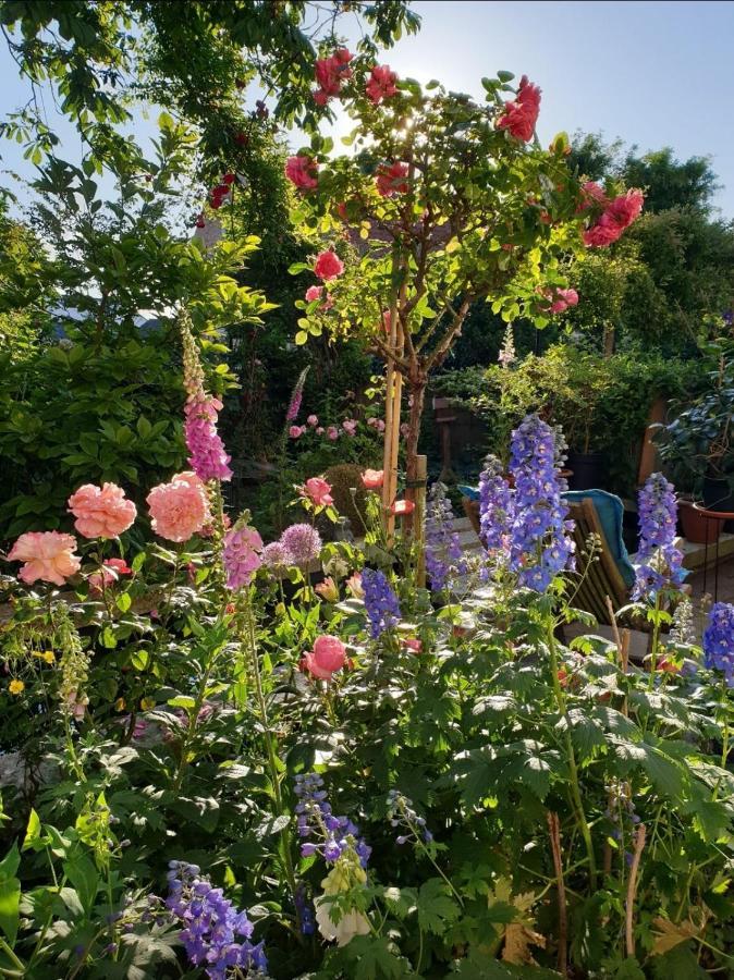 Monumentaal Logeren Bed & Breakfast *