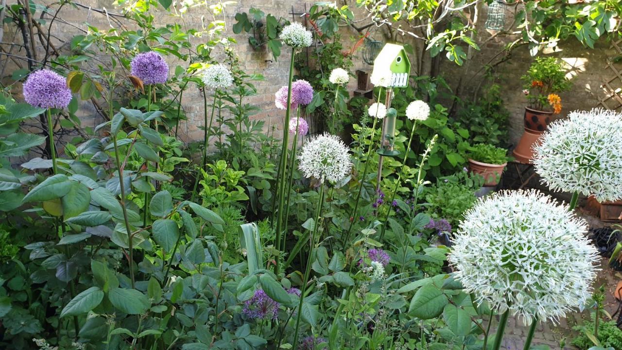 Monumentaal Logeren Bed & Breakfast *